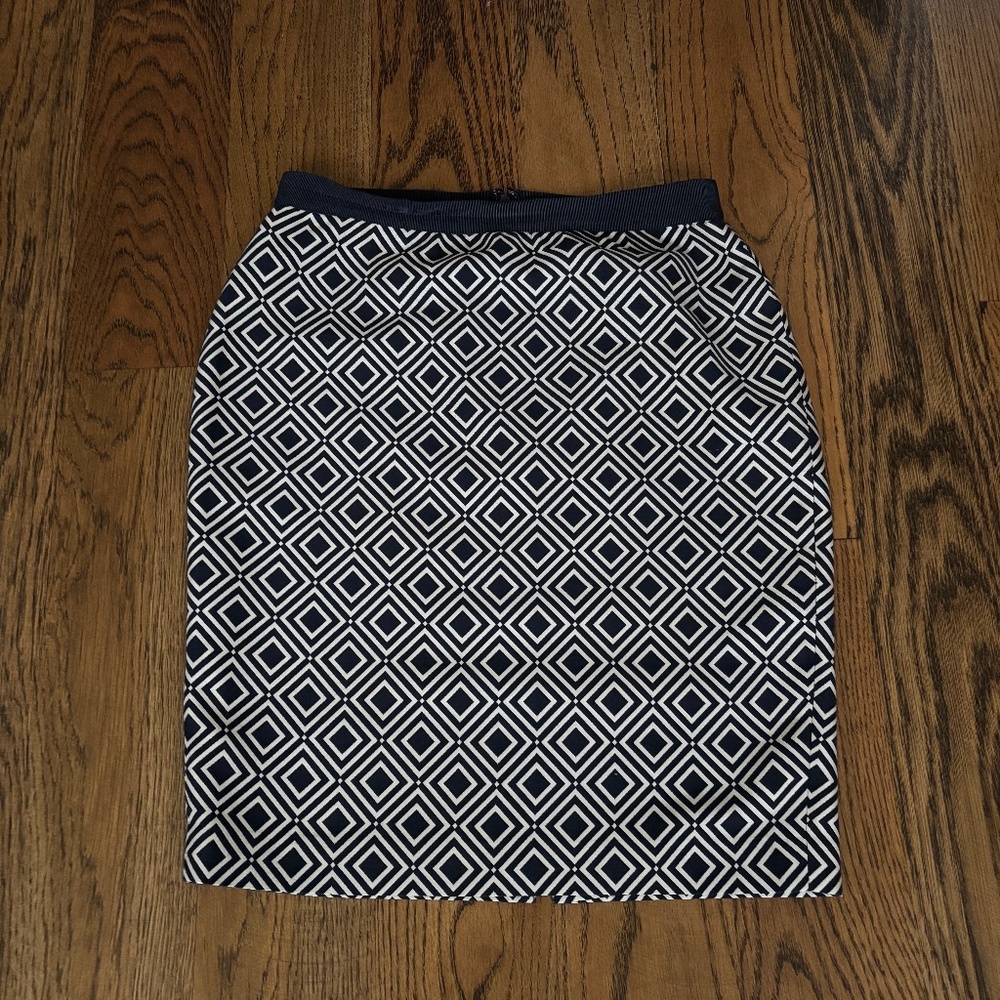 Ann Taylor skirt